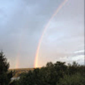 Meet your Posher, Lily